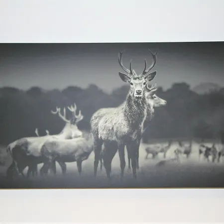 Heimatblick By Interhome * Ramsau im Zillertal