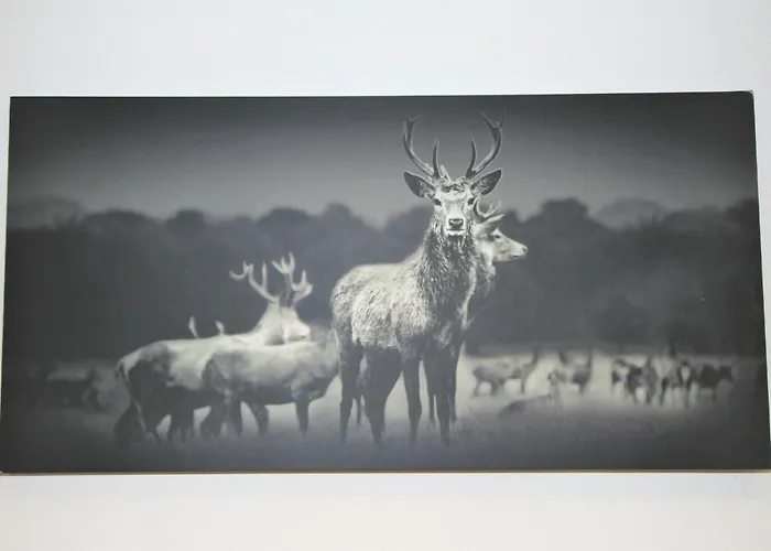 Heimatblick By Interhome * Ramsau im Zillertal